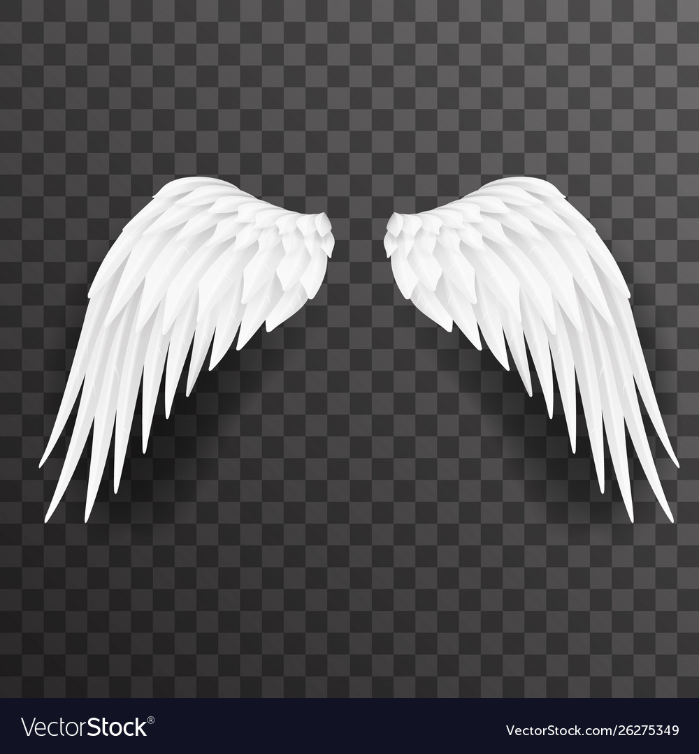 Angel white wings bird fly 3d realistic design Vector Image