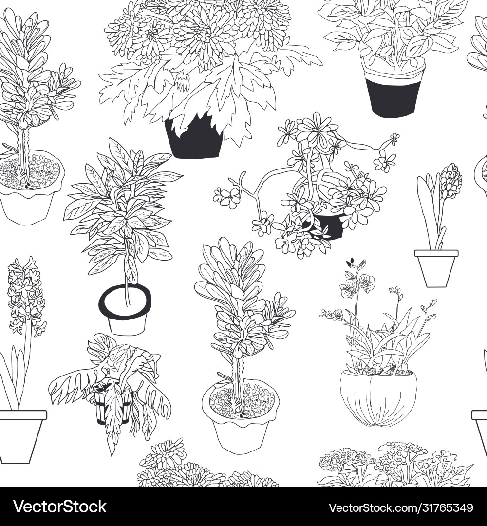 Seamless pattern different house plants Royalty Free Vector