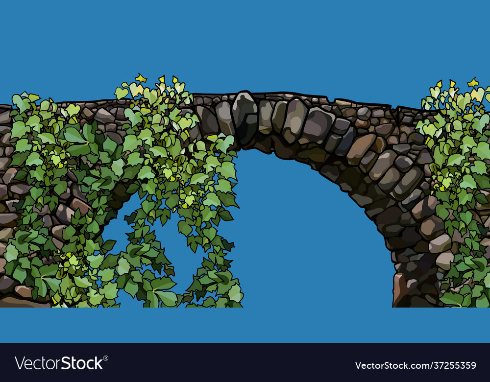 Cartoon stone bridge overgrown with climbing Vector Image