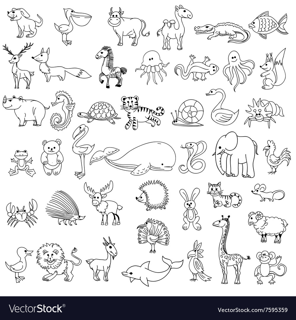 Top 29 Wild Animals Coloring Pages with name ( Wild Animals Drawings) | by  Artist Mind | Medium