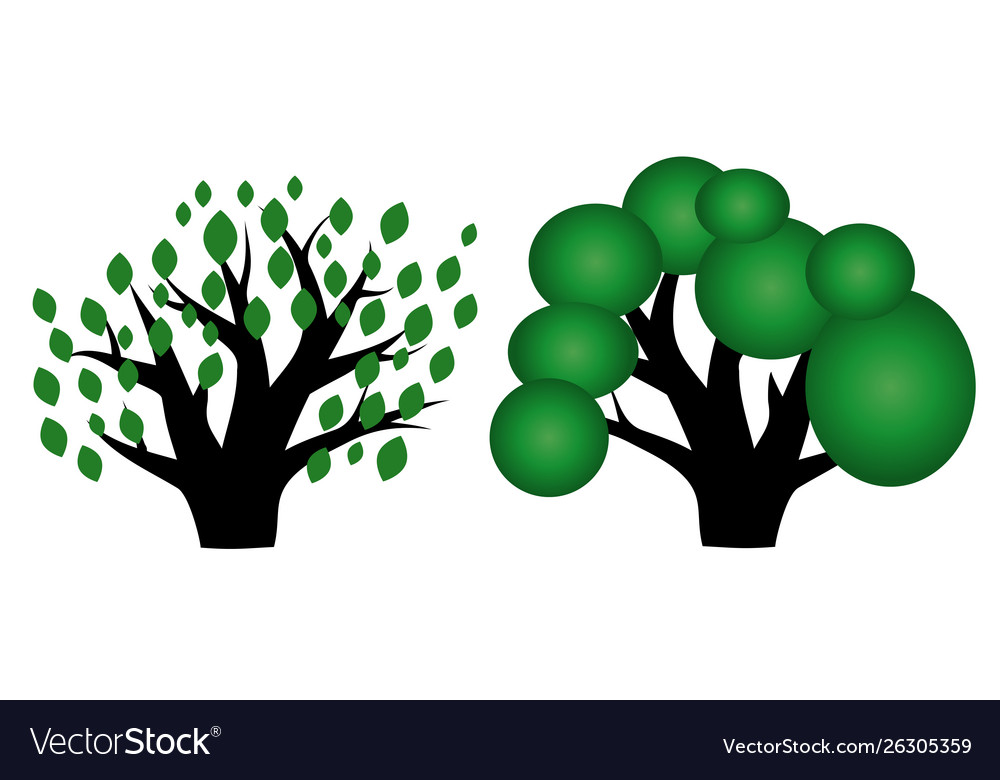 Two trees with green crowns and thick trunks Vector Image