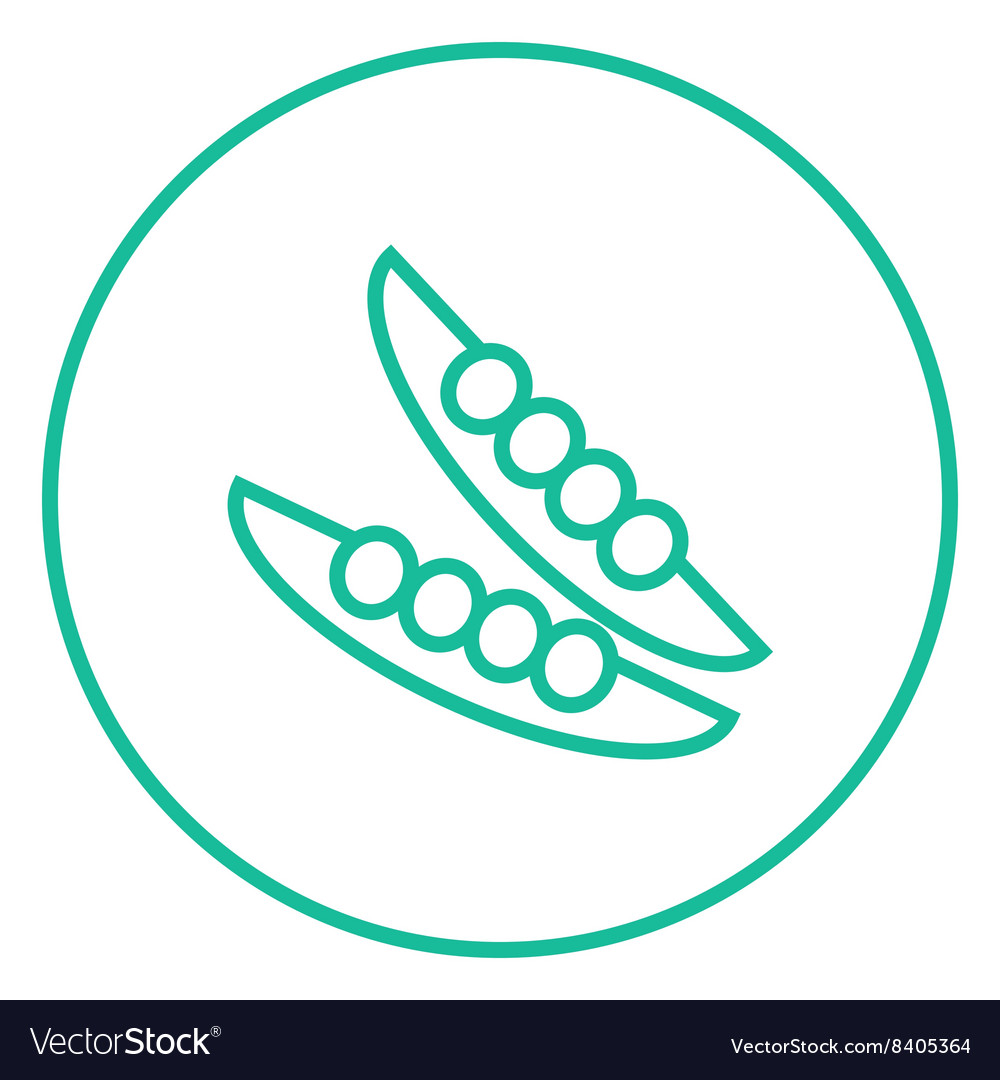 Peapod line icon