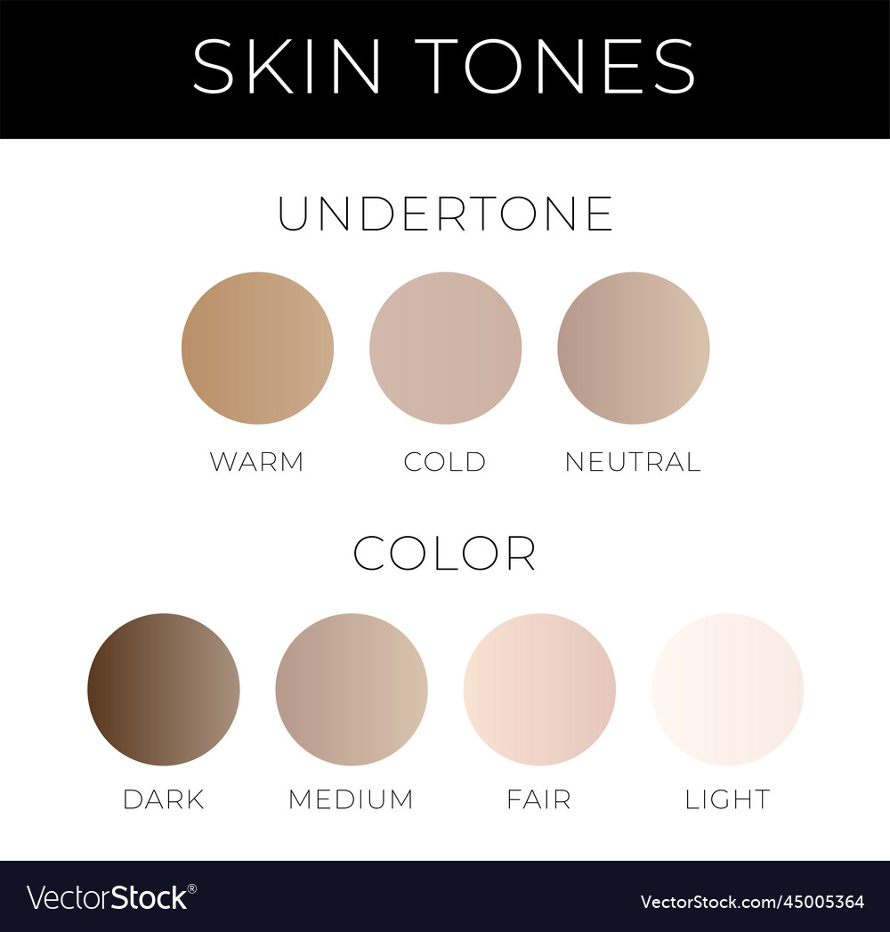 Skin tones with undertone warm cold neutral Vector Image