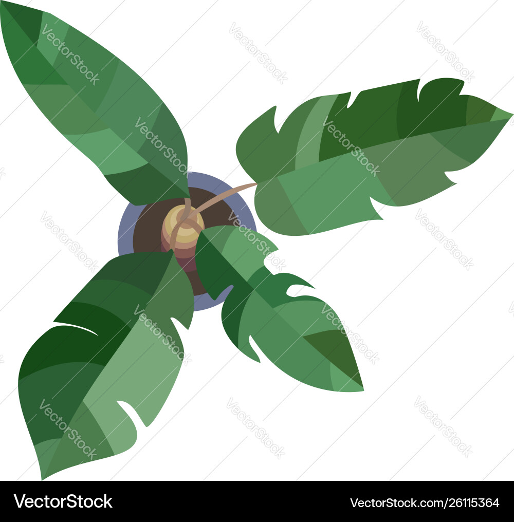 Top view green plants easy copy paste in your Vector Image