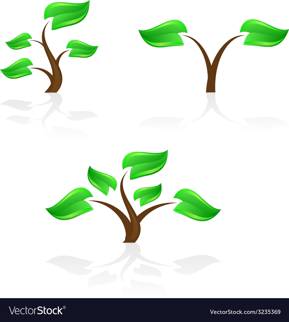 Tree symbols Royalty Free Vector Image - VectorStock