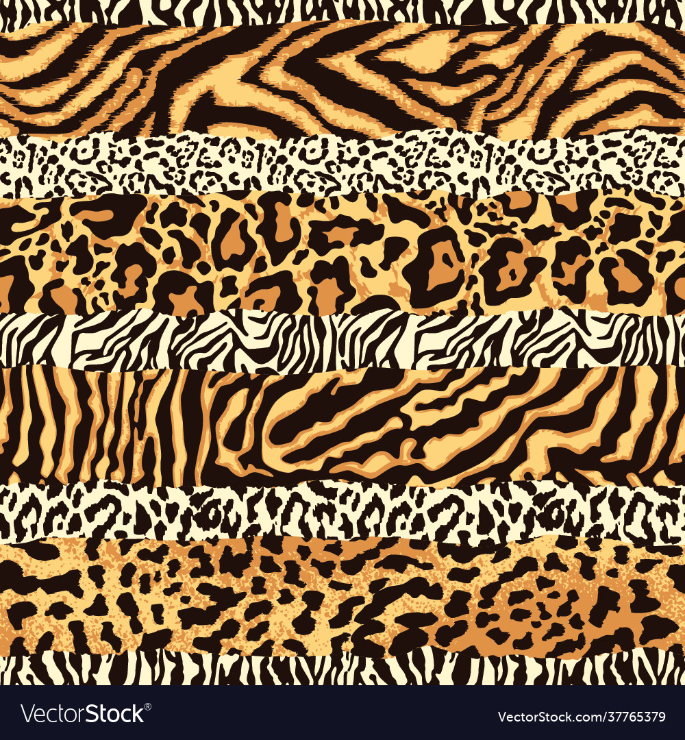 Striped Wild Animal Skins Patchwork Royalty Free Vector