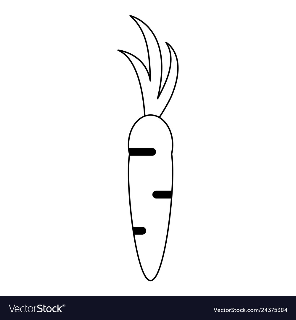 Vegetable carrot food symbol in black and white Vector Image