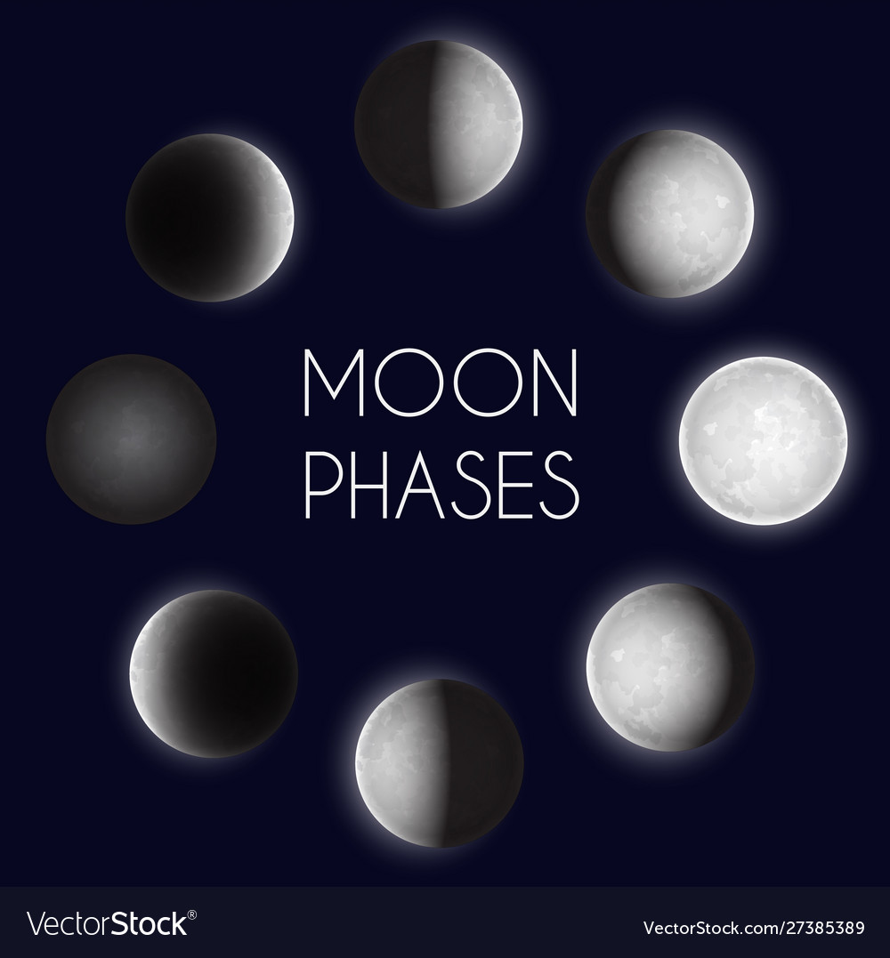 Moon phases night space astronomy whole cycle Vector Image