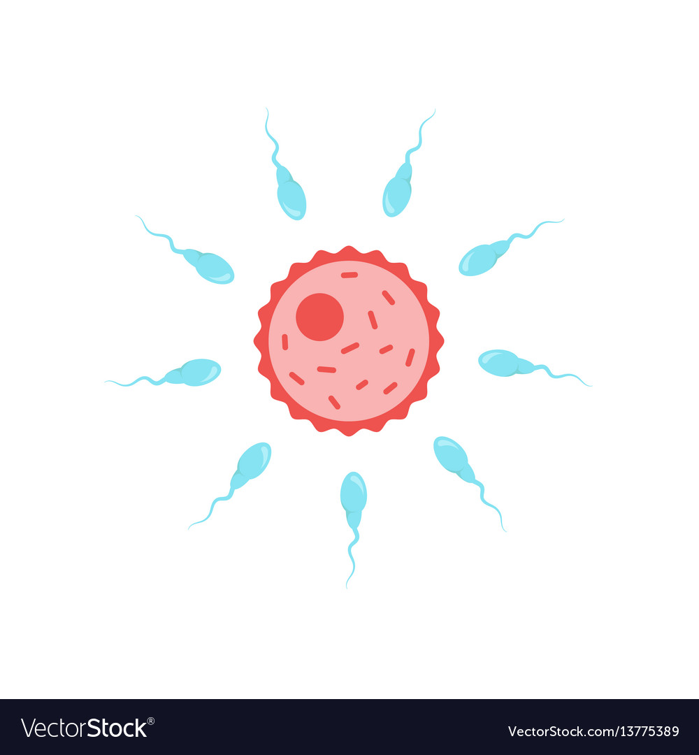 Sperm egg fertilization pity, that Something is. sperm egg fertilization consider