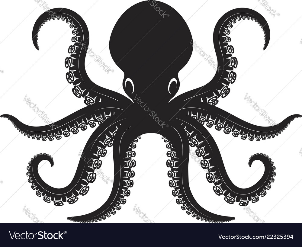 Octopus isolated on white background design Vector Image