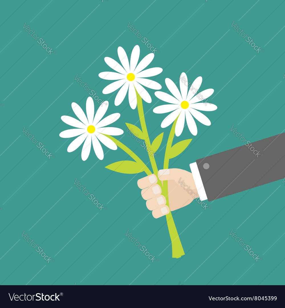 Businessman Hand hält Bouquet von weißem Daisy