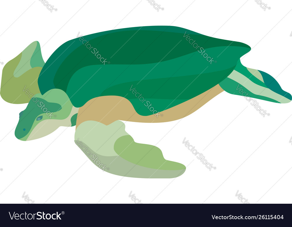 Cartoon green turtle isolated on white background vector image Cartoon green turtle isolated on white background