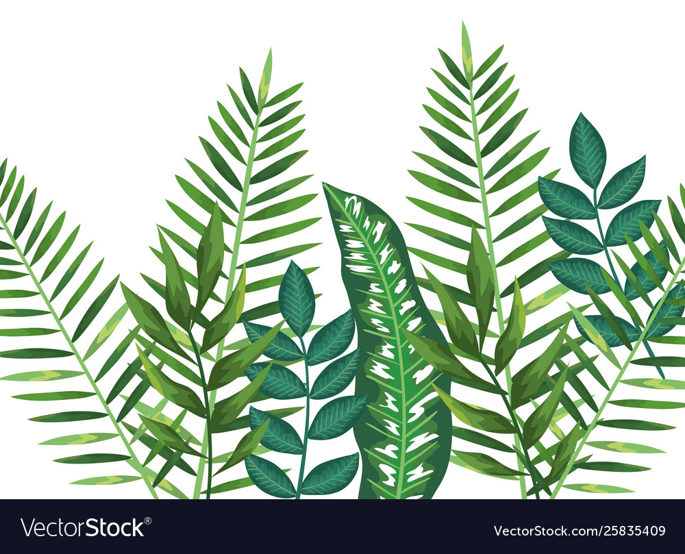 Branch with leafs plants pattern background