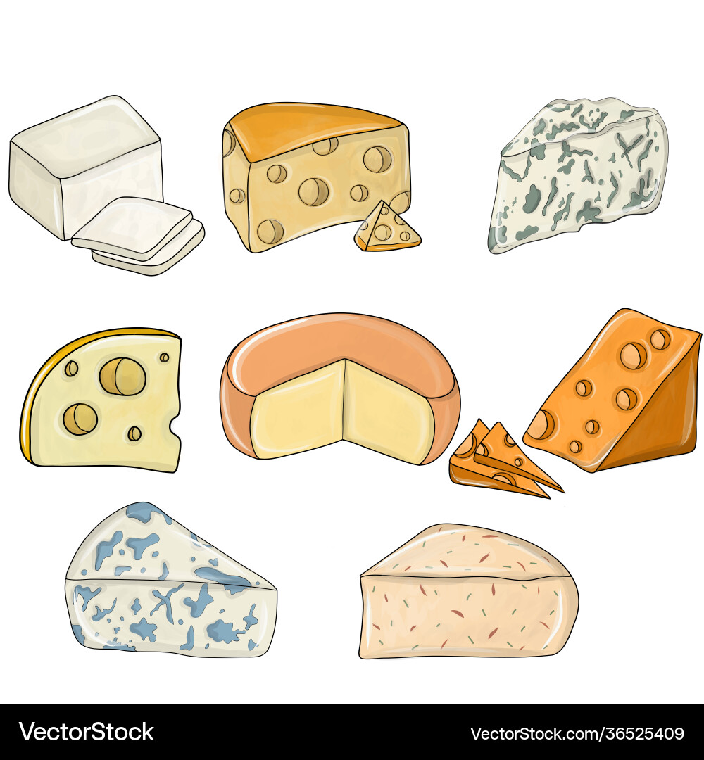 Cheese set detailed Royalty Free Vector Image - VectorStock