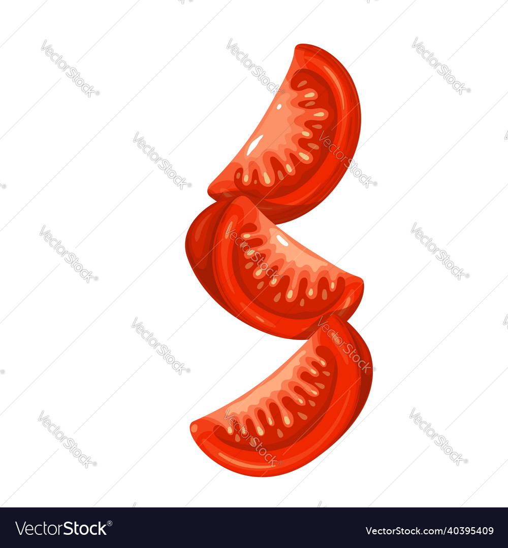 Falling Or Flying Tomato Slices Royalty Free Vector Image