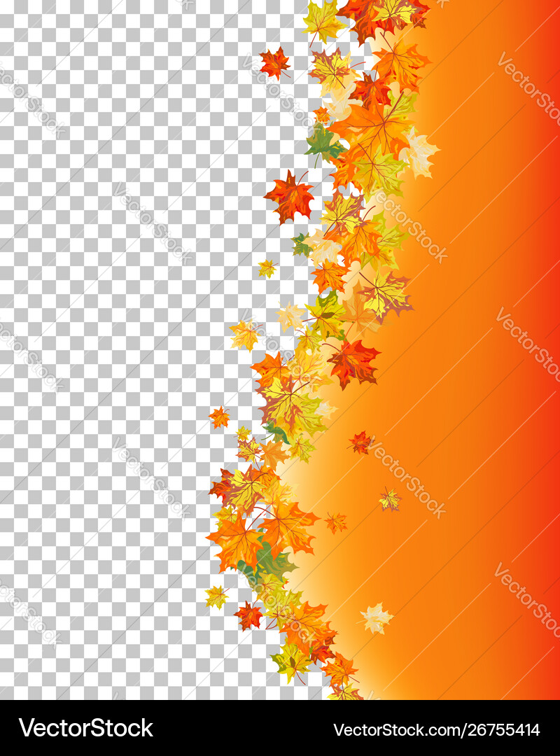 Fall autumn maple background Royalty Free Vector Image