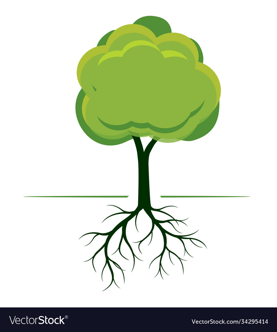 Green tree with roots outline Royalty Free Vector Image