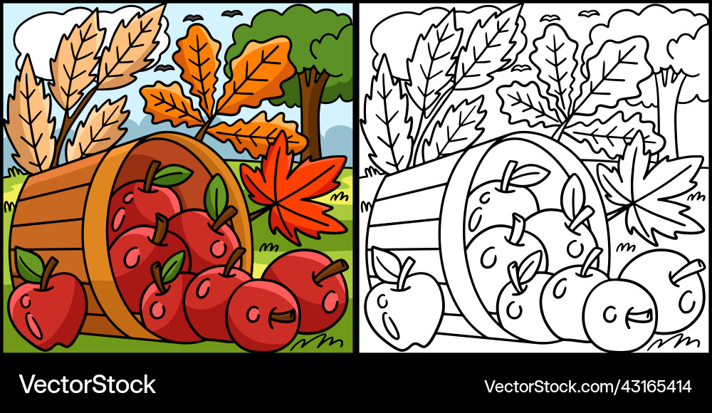 Thanksgiving apple coloring page Royalty Free Vector Image