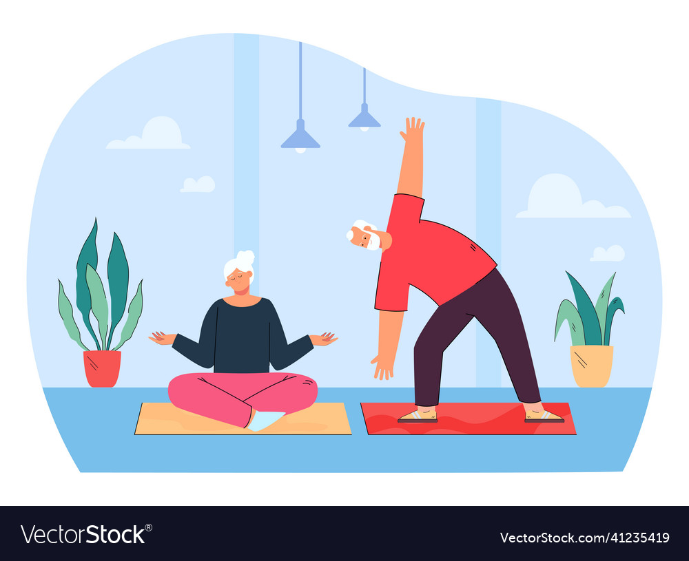 Active sporty elderly couple do sports practice Vector Image