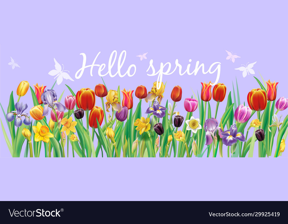 Border from arrangement with multicolor spring Vector Image