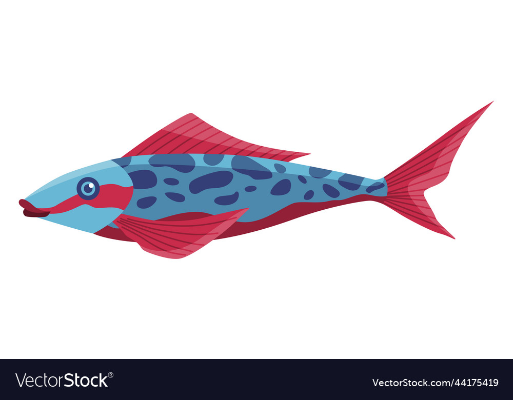 Fisch realistische Aquarienzubehör Dekoration vector image Fisch realistische Aquarienzubehör Dekoration