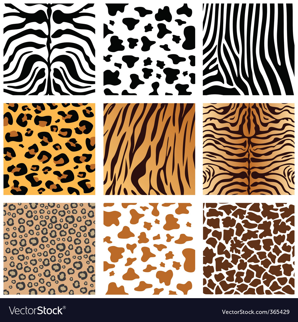 Animal Prints Royalty Free Vector Image VectorStock