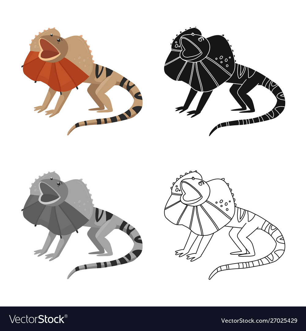 Isolated object lizard and magical icon set