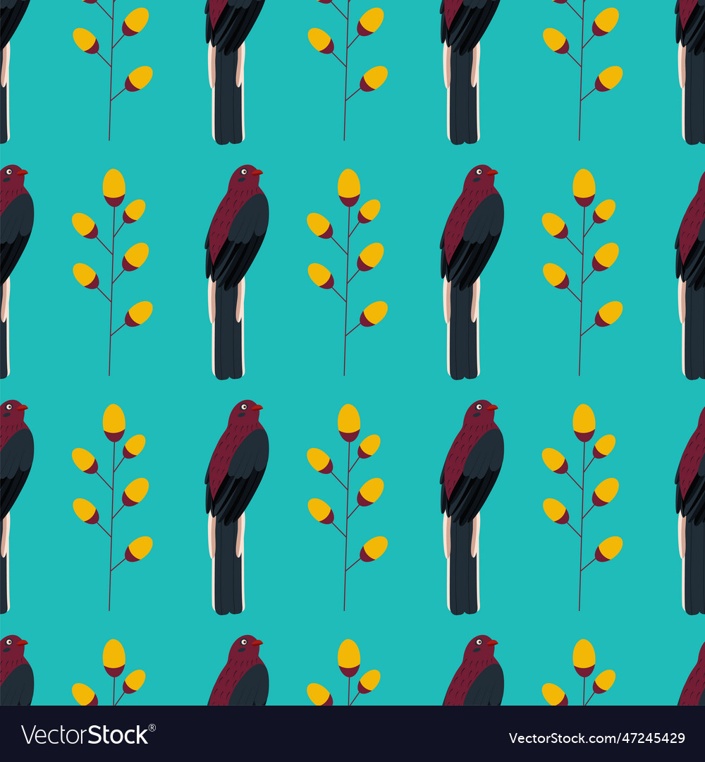 Pattern with trogon bird vector image Pattern with trogon bird