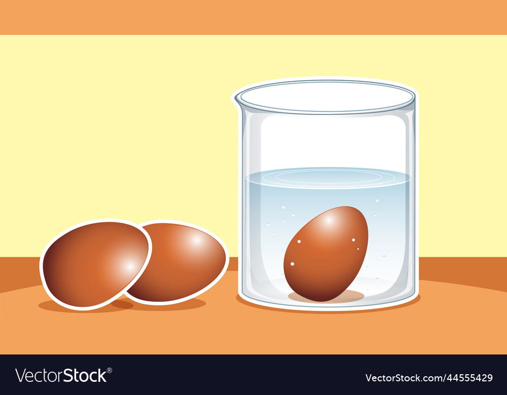 Thumbnail design with egg vinegar experiment Vector Image