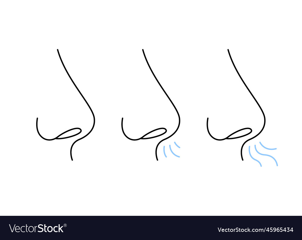 Nase Atemlinie Ikone Stau nasal