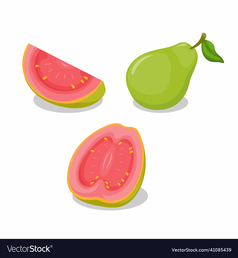 Guava fruit whole and slice object collection set