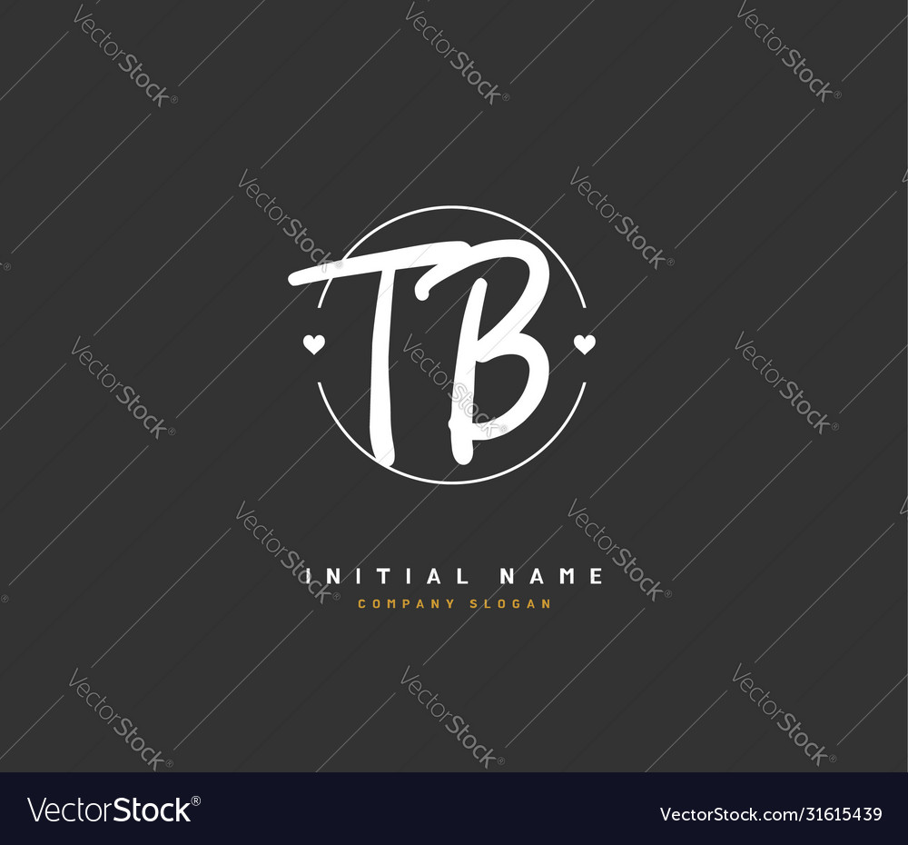 T b tb beauty initial logo handwriting