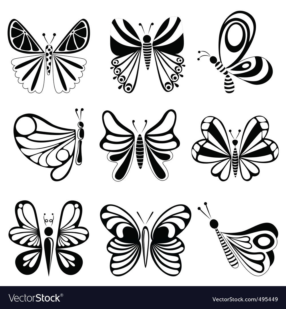 Elegant Butterfly Collection
