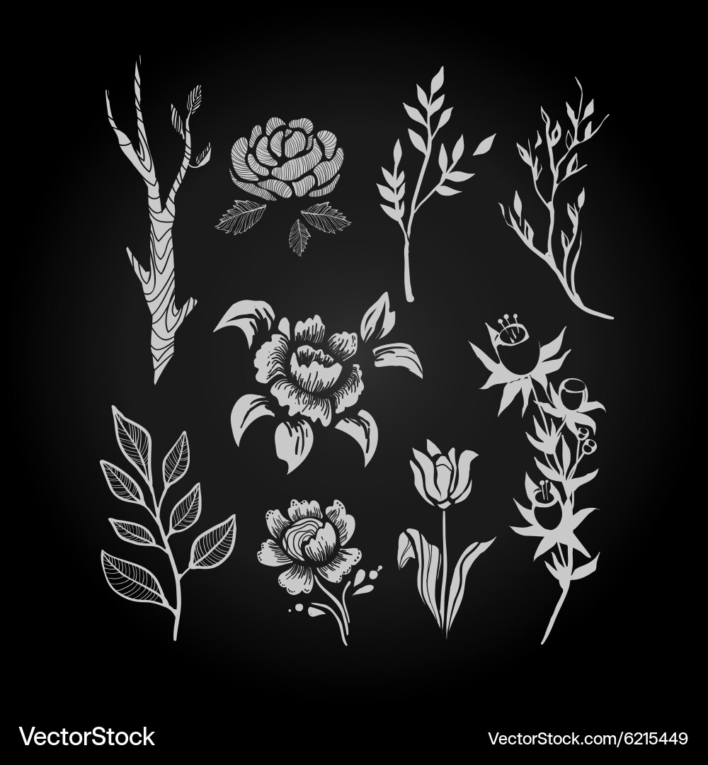 Fantasy hand drawn flower and plant set Royalty Free Vector