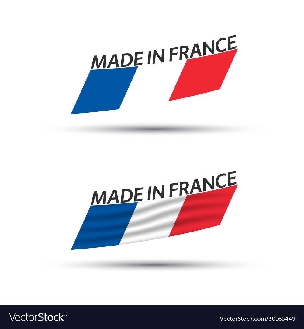 Modern colored french flags flag france