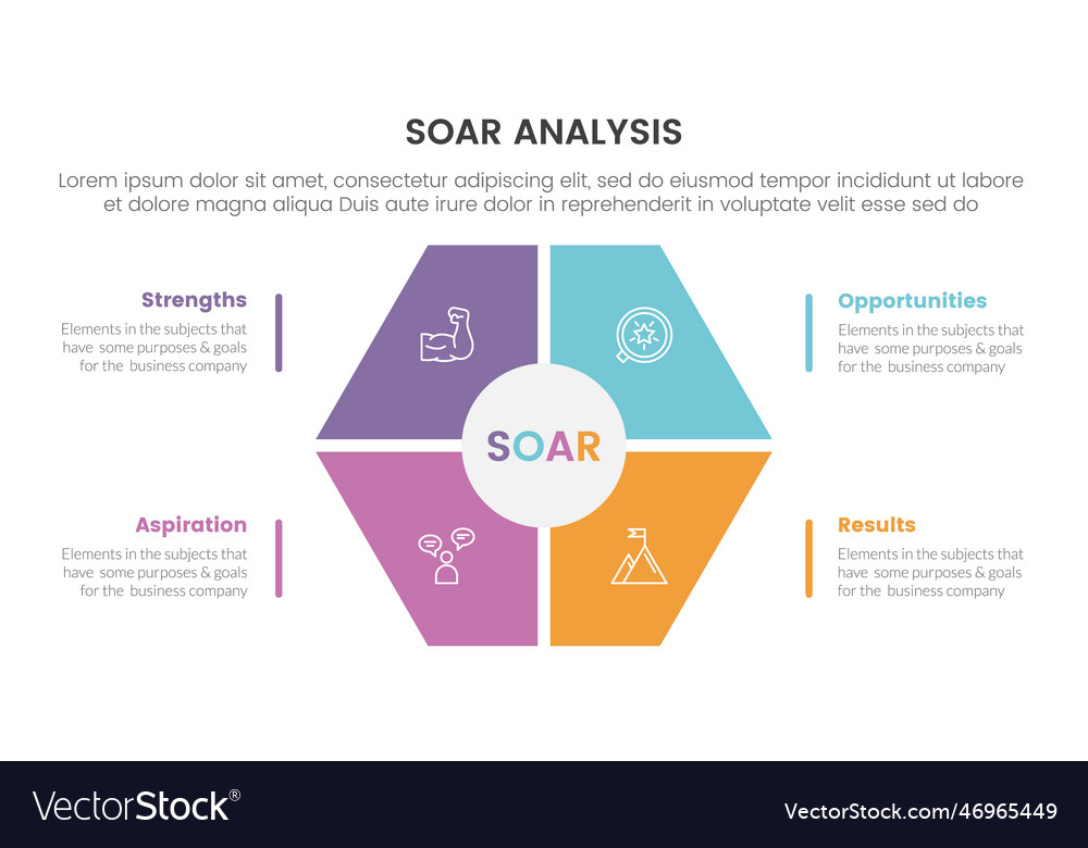 S.O.A.R. Analysis Framework