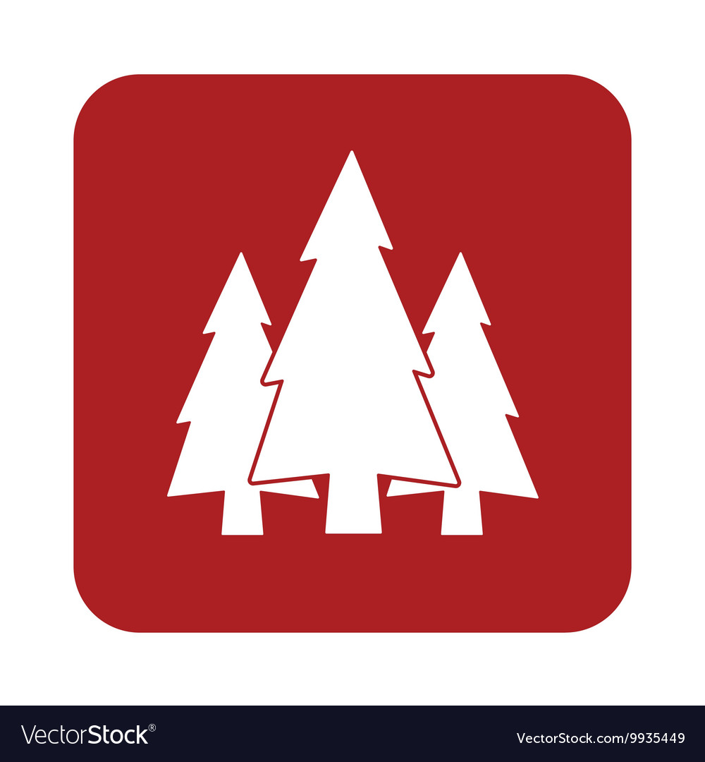 Spruce Icon