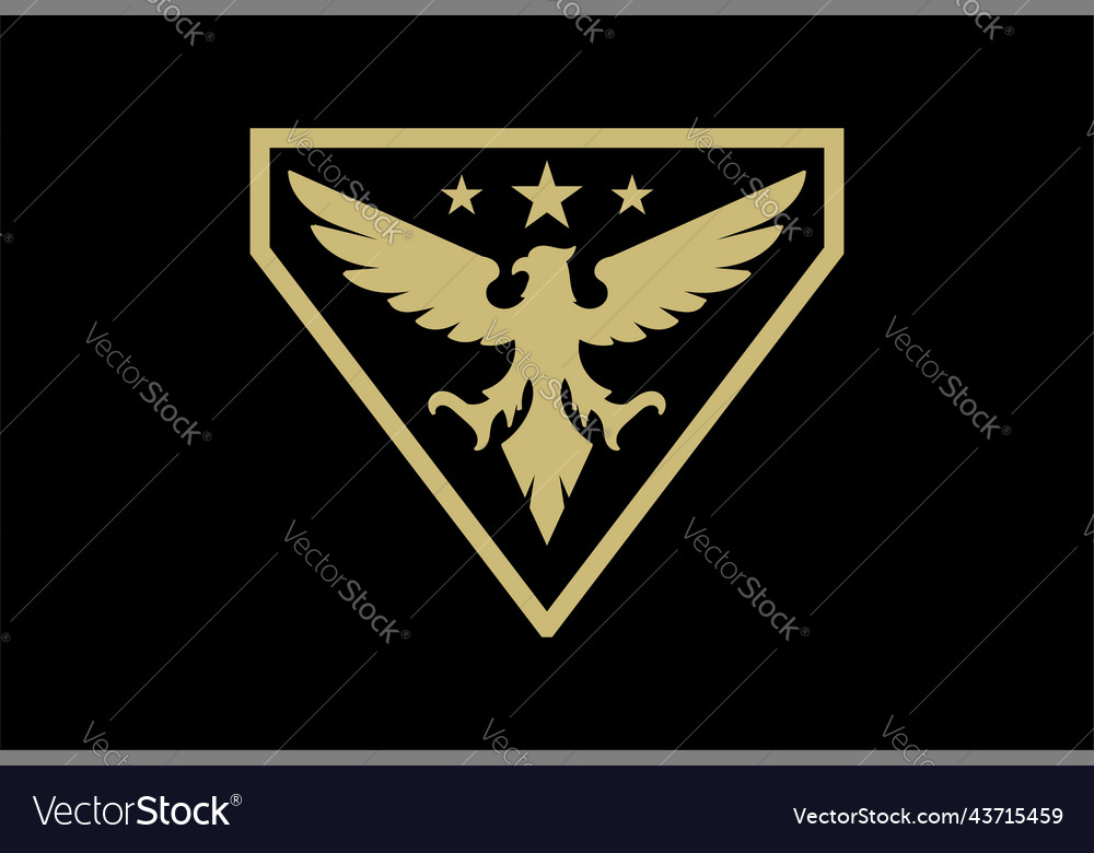 Golden triangle american eagle hawk falcon vector image Golden triangle american eagle hawk falcon