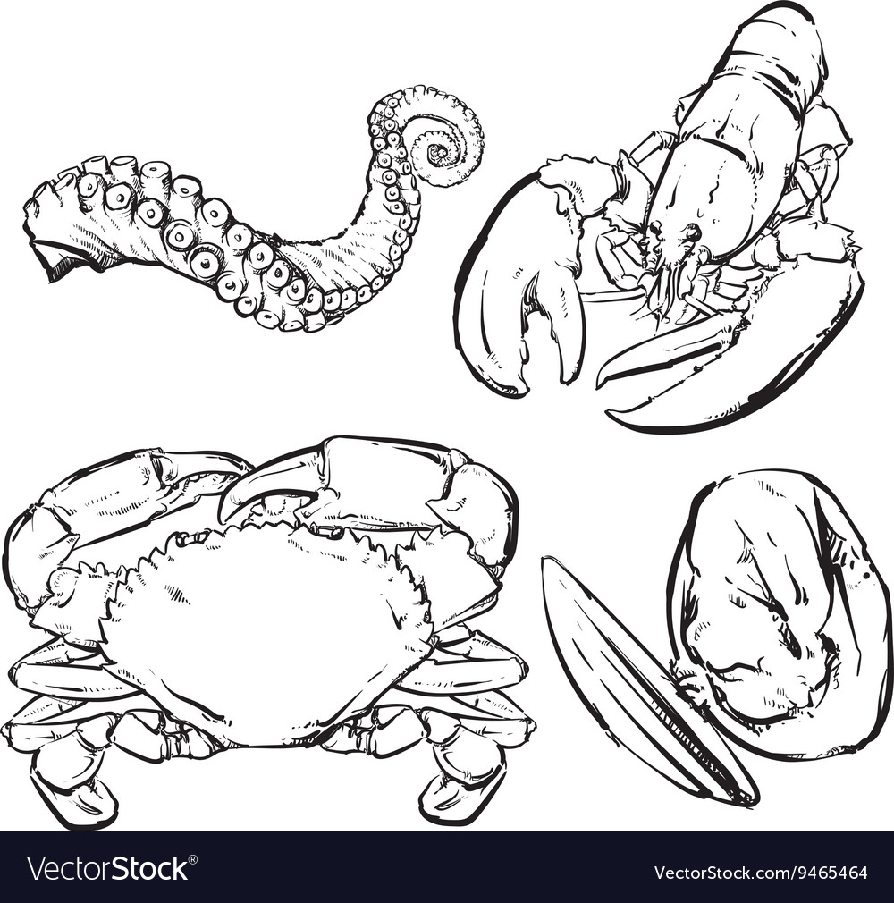 Drawing seafood dinner