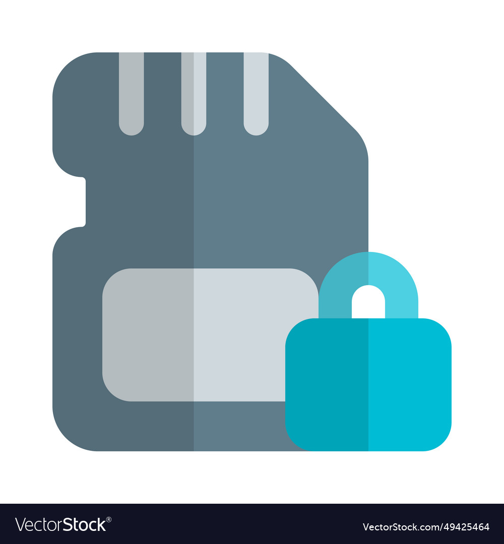 Sd card lock for data security