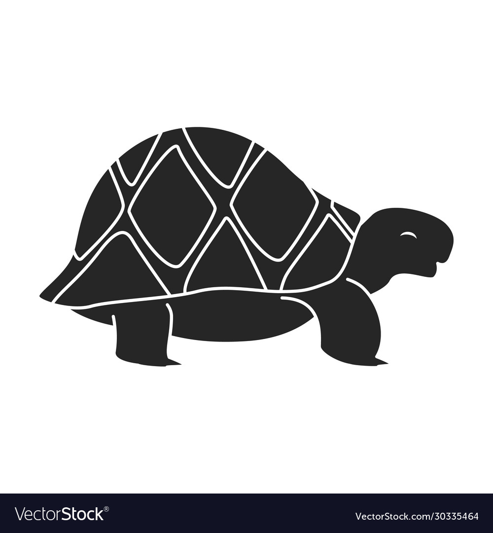 Sea turtle iconblack icon isolated