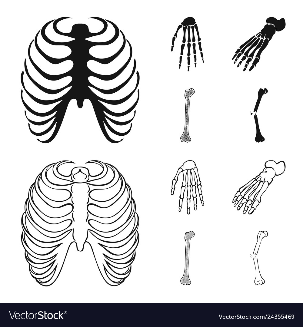 Medicine and clinic sign Royalty Free Vector Image