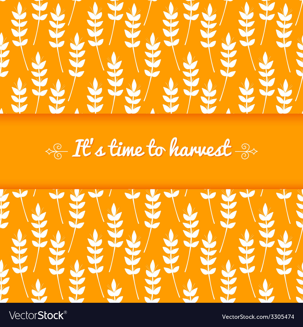 Background with ears of wheat