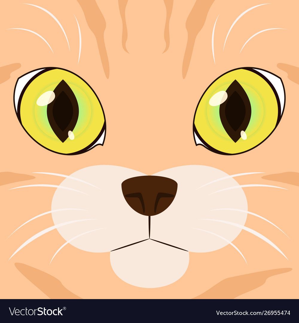 Cat face Royalty Free Vector Image - VectorStock