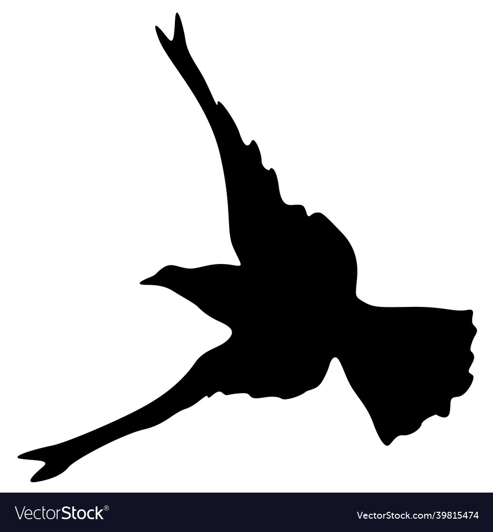 Concept of love or peace silhouettes doves