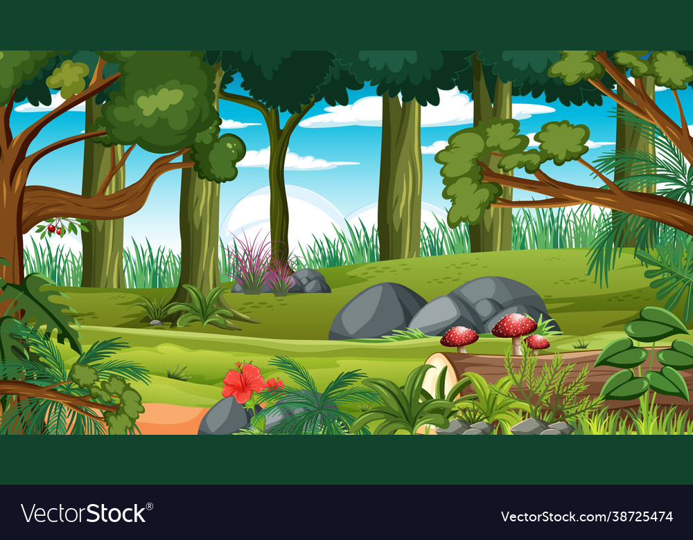 Forest scene with various trees vector image Forest scene with various trees