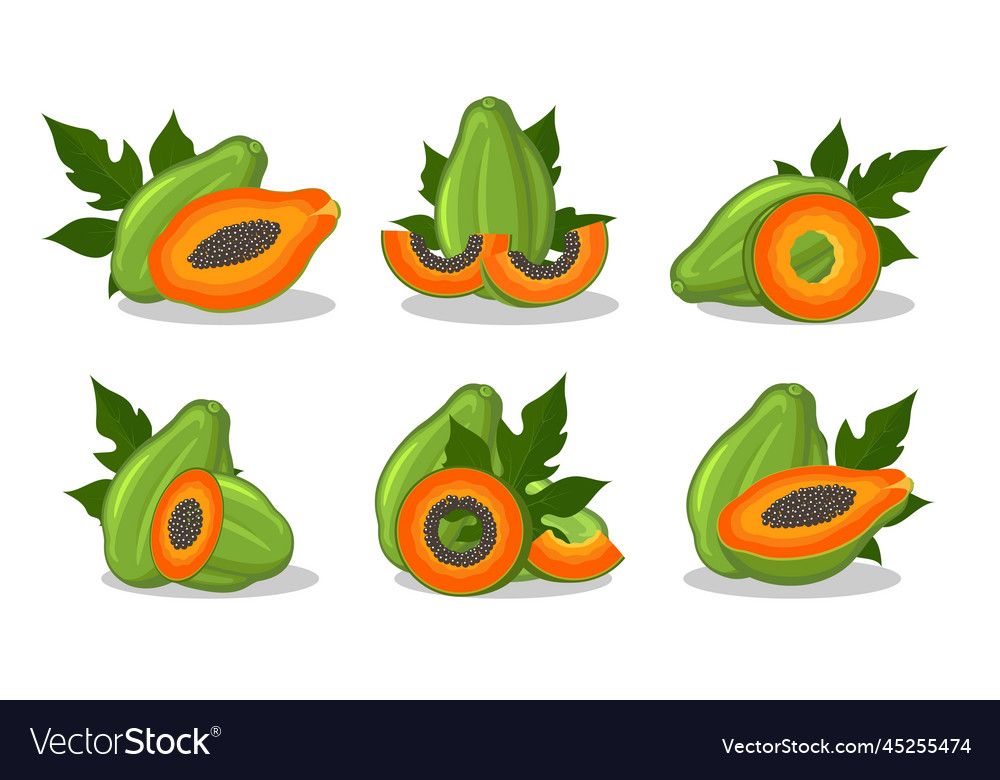 Papaya cartoon designs Royalty Free Vector Image
