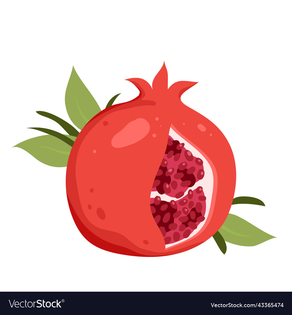 Pomegranate red fresh juicy fruit with green