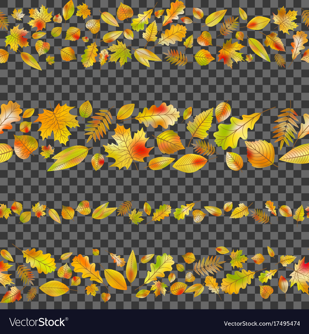 Set of seamless borders from autumn leaves eps 10