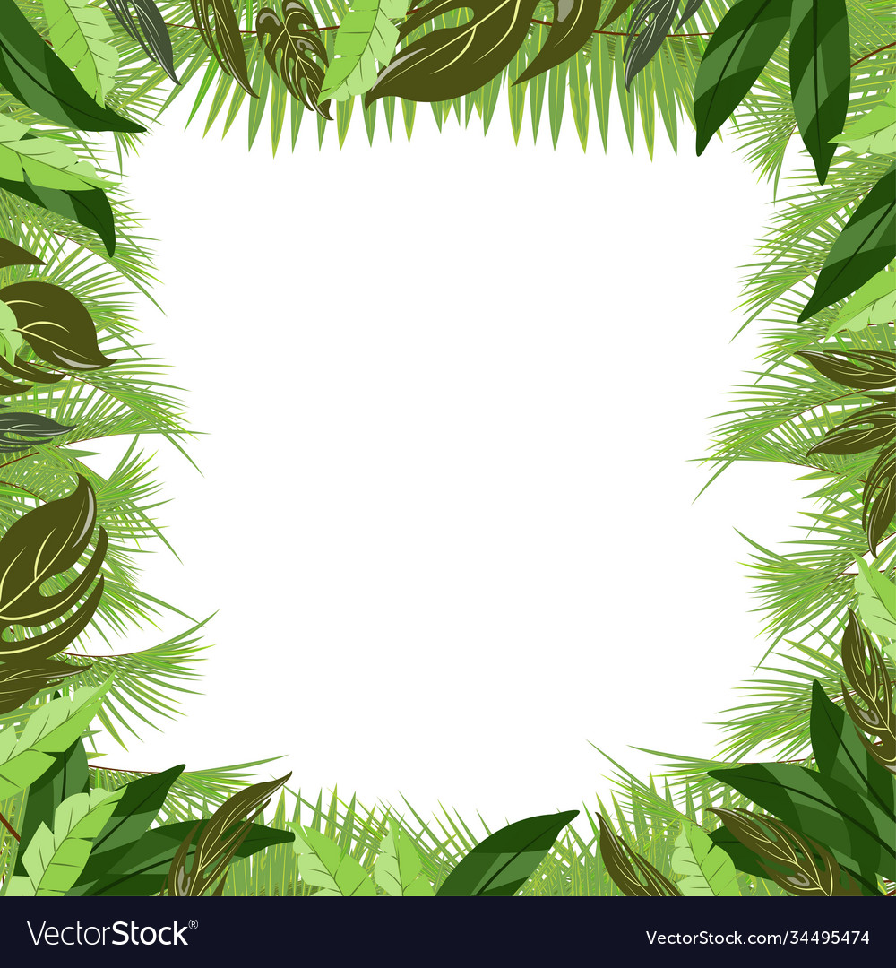 Trendy tropical palm tree branches and tropical Vector Image